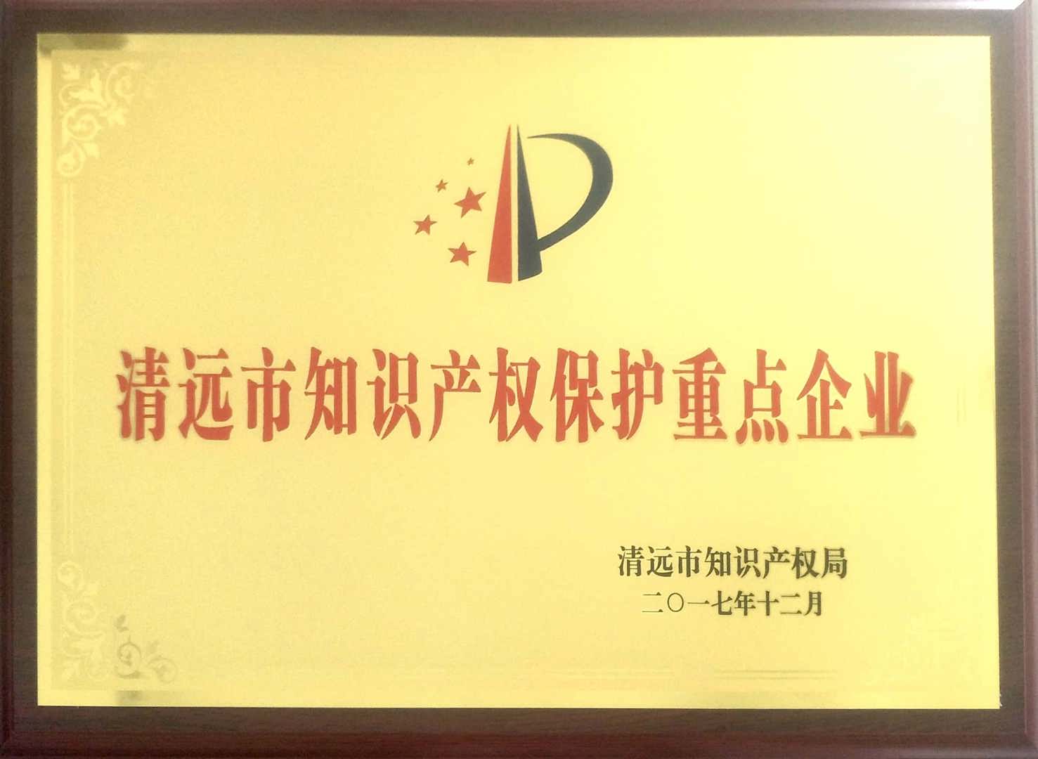 知识产权保护重点企业