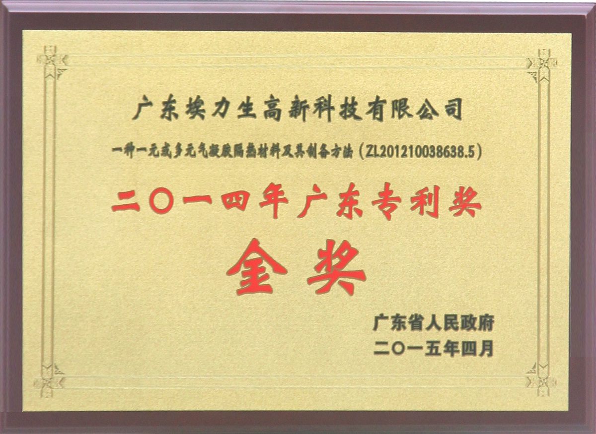 广东省专利金奖